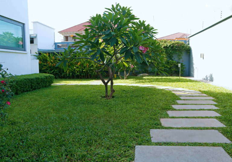 Royal Palm_3147 _1400x980